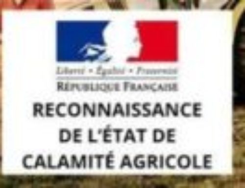 CALAMITÉ AGRICOLE