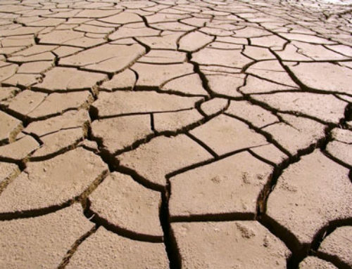 Non reconnaissance de l’état de catastrophe naturelle – sécheresse/réhydratation des sols 2025